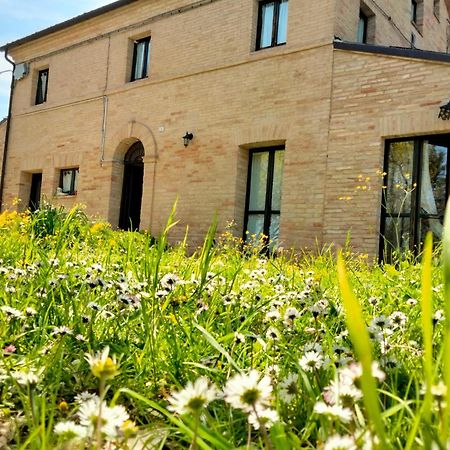 Agriturismo Campo Aperto Belvedere Ostrense 외부 사진