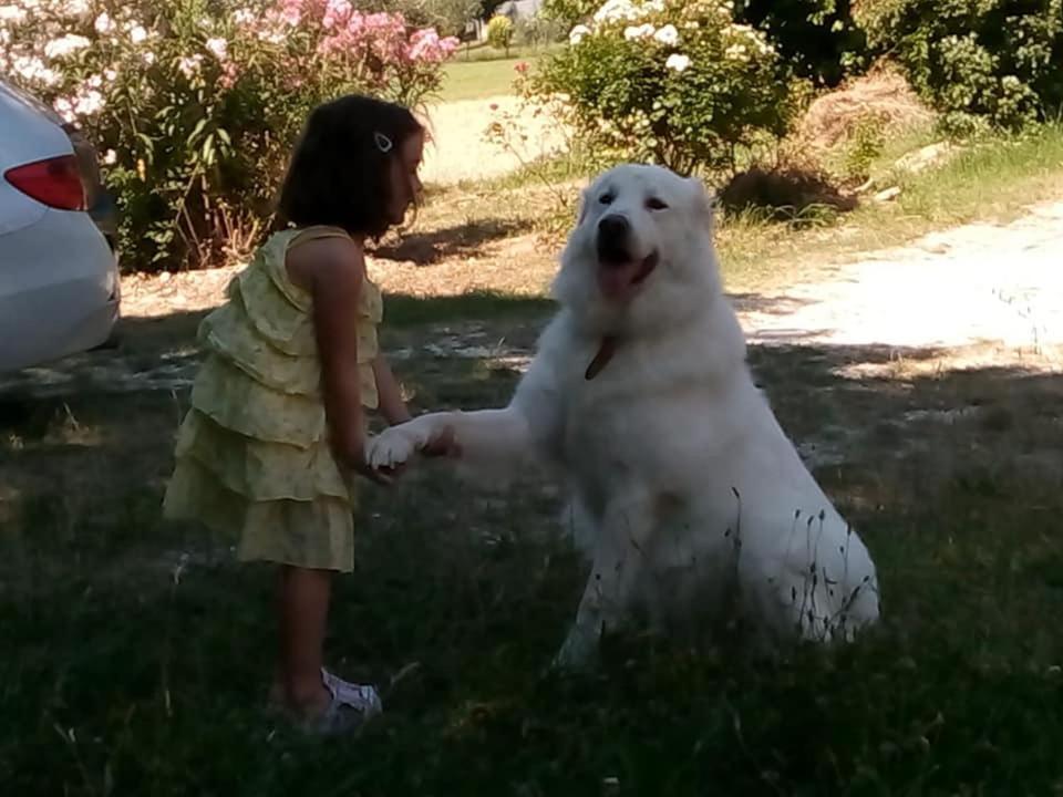 Agriturismo Campo Aperto Belvedere Ostrense 외부 사진