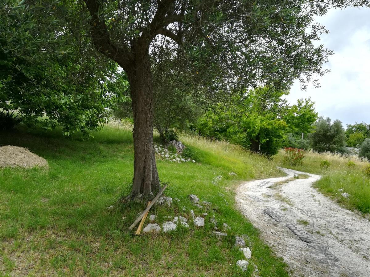 Agriturismo Campo Aperto Belvedere Ostrense 외부 사진