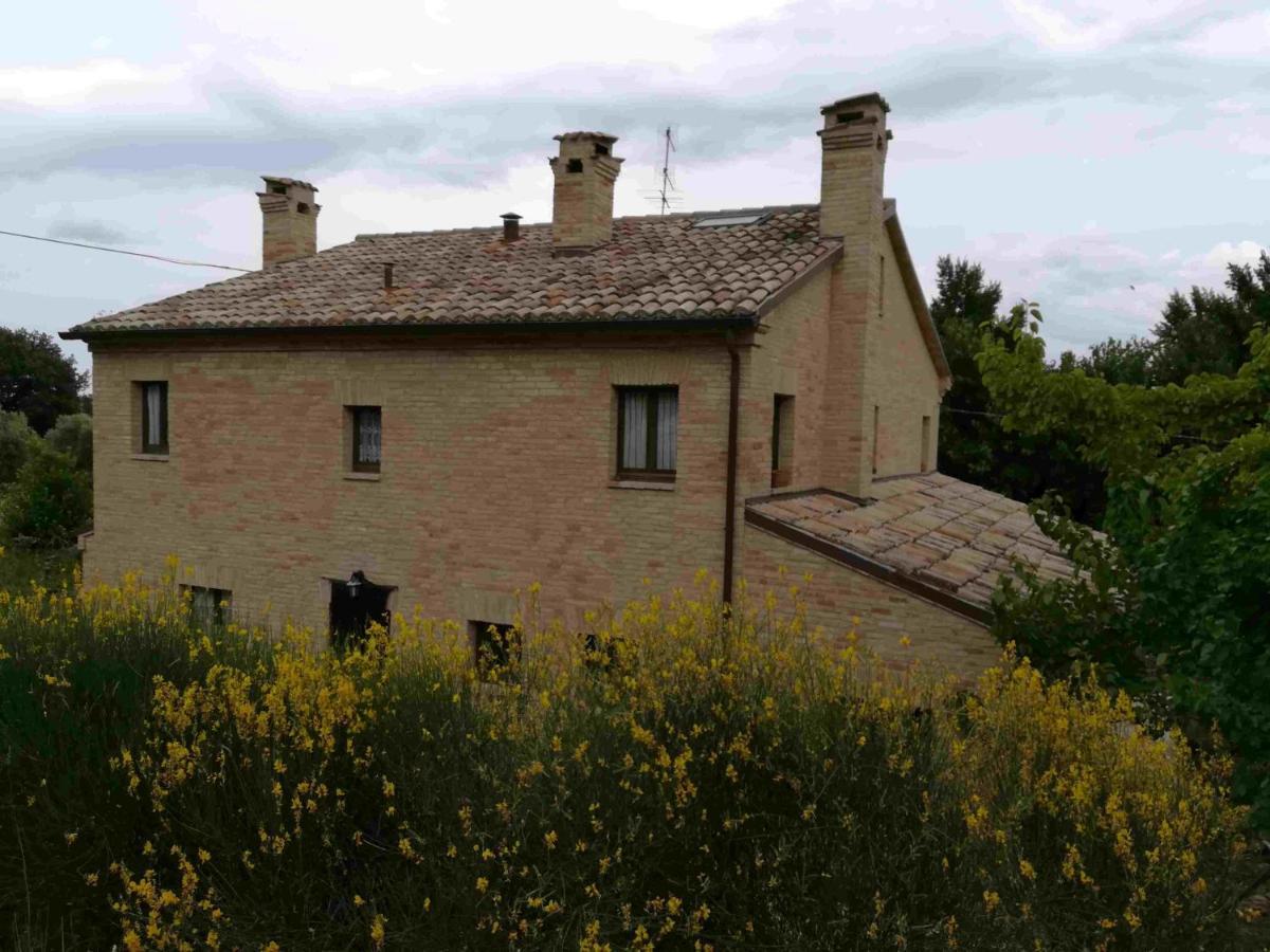 Agriturismo Campo Aperto Belvedere Ostrense 외부 사진