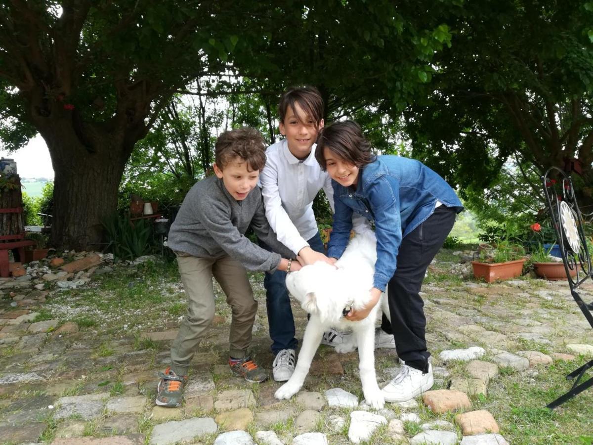 Agriturismo Campo Aperto Belvedere Ostrense 외부 사진