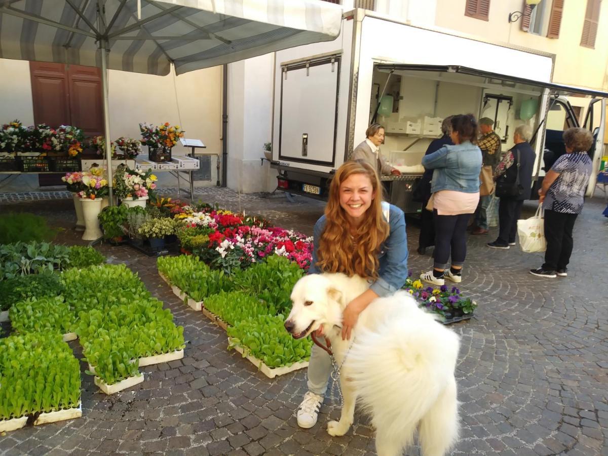 Agriturismo Campo Aperto Belvedere Ostrense 외부 사진