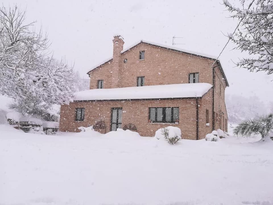 Agriturismo Campo Aperto Belvedere Ostrense 외부 사진