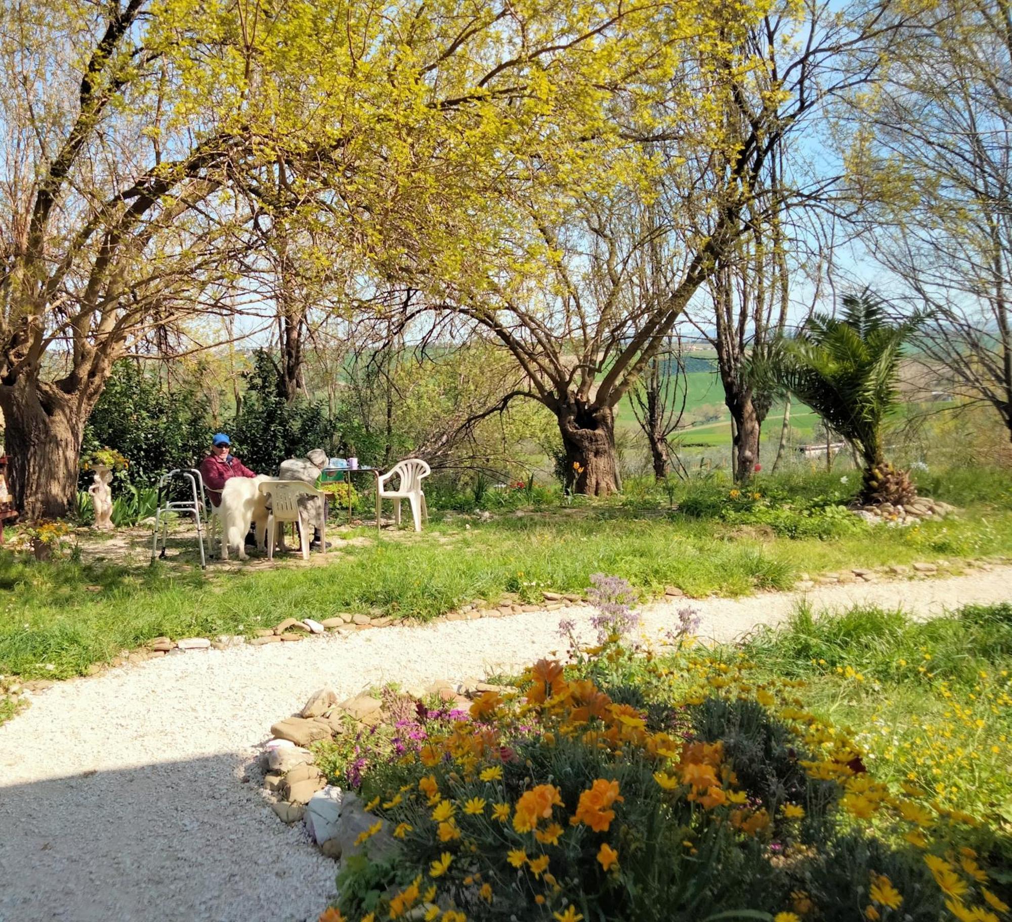 Agriturismo Campo Aperto Belvedere Ostrense 외부 사진