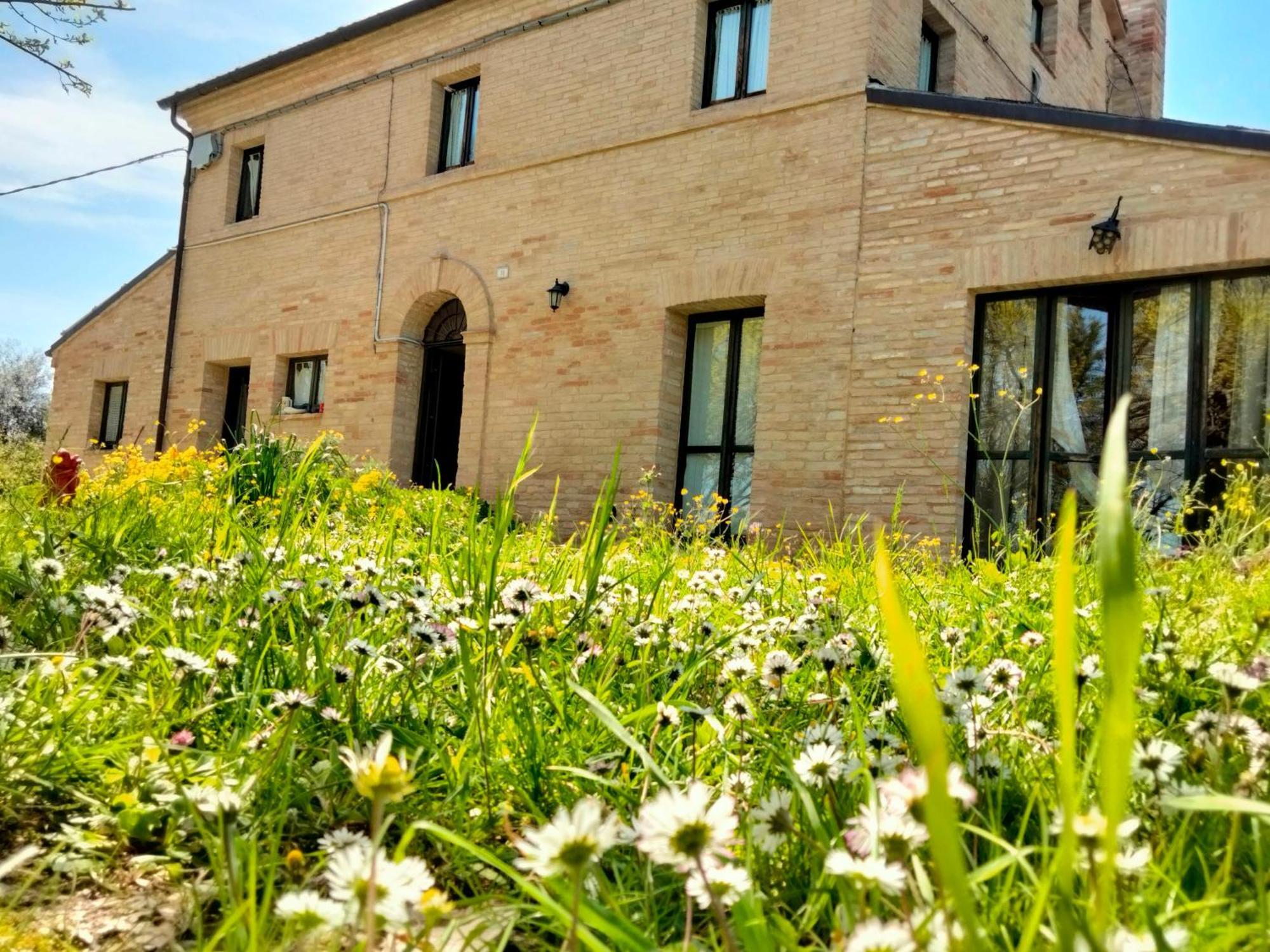 Agriturismo Campo Aperto Belvedere Ostrense 외부 사진